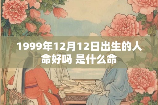 1999年12月12日出生的人命好吗 是什么命
