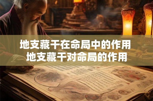 地支藏干在命局中的作用 地支藏干对命局的作用