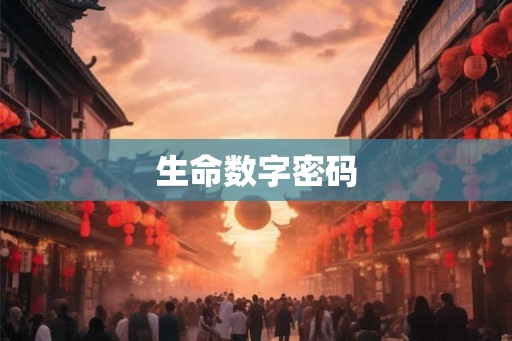 生命数字密码