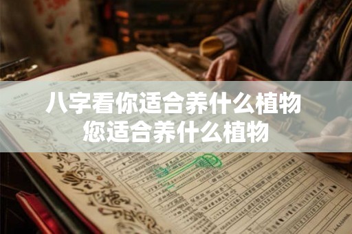 八字看你适合养什么植物 您适合养什么植物 八字看你适合养什么植物 您适合养什么植物
