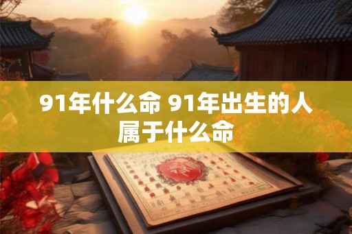91年什么命 91年出生的人属于什么命
