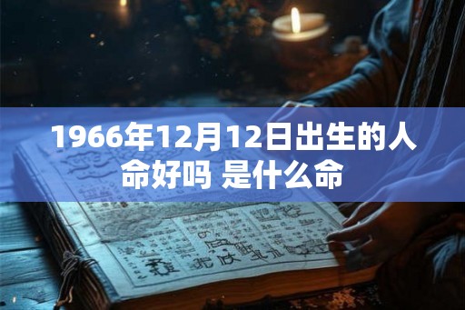 1966年12月12日出生的人命好吗 是什么命