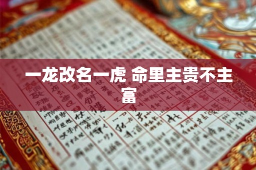 一龙改名一虎 命里主贵不主富
