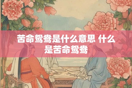 苦命鸳鸯是什么意思 什么是苦命鸳鸯