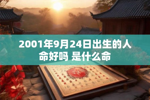 2001年9月24日出生的人命好吗 是什么命