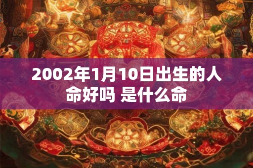 2002年1月10日出生的人命好吗 是什么命