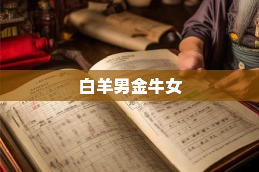 白羊男金牛女