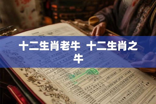十二生肖老牛  十二生肖之牛