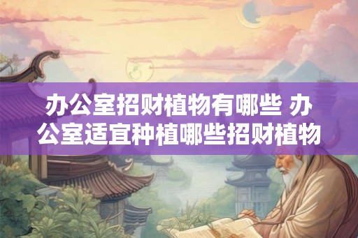 办公室招财植物有哪些 办公室适宜种植哪些招财植物