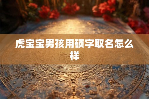 虎宝宝男孩用硕字取名怎么样