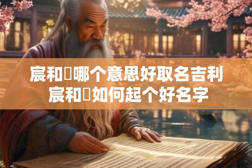 宸和莀哪个意思好取名吉利 宸和莀如何起个好名字