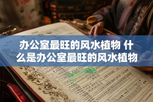 办公室最旺的风水植物 什么是办公室最旺的风水植物
