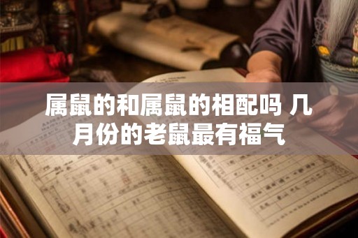 属鼠的和属鼠的相配吗 几月份的老鼠最有福气