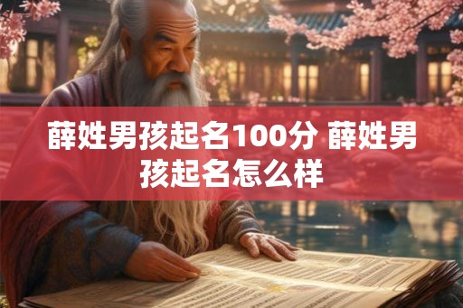 薛姓男孩起名100分 薛姓男孩起名怎么样
