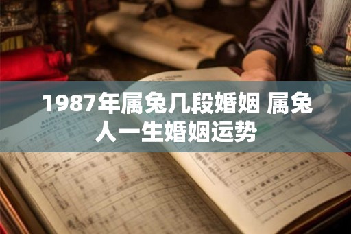 1987年属兔几段婚姻 属兔人一生婚姻运势