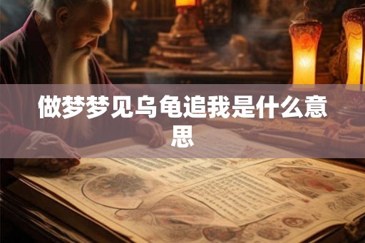 做梦梦见乌龟追我是什么意思