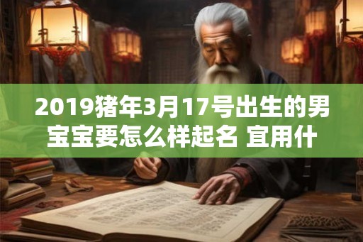 2019猪年3月17号出生的男宝宝要怎么样起名 宜用什么字