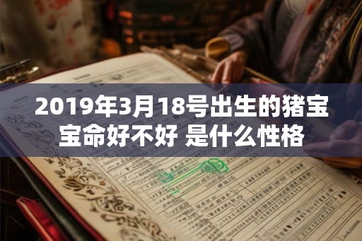 2019年3月18号出生的猪宝宝命好不好 是什么性格