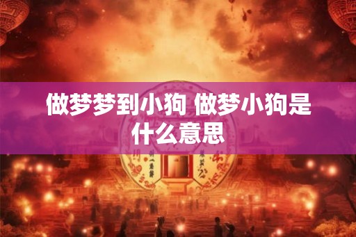 做梦梦到小狗 做梦小狗是什么意思 做梦梦到小狗 做梦小狗是什么意思