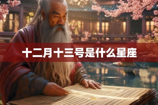 十二月十三号是什么星座