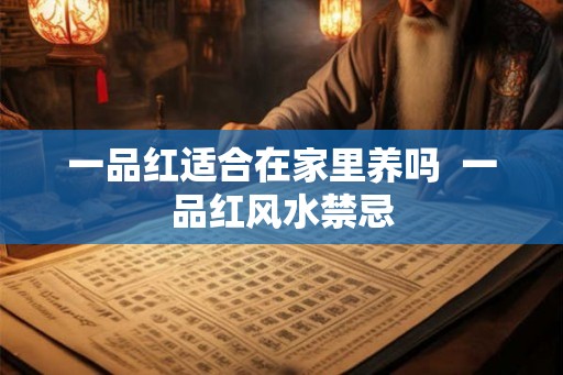 一品红适合在家里养吗  一品红风水禁忌