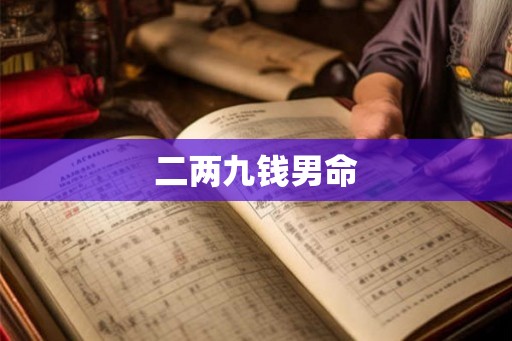 二两九钱男命