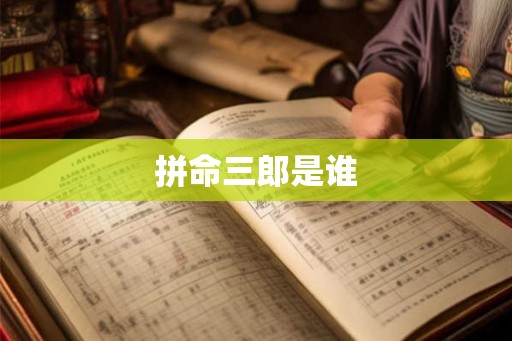 拼命三郎是谁
