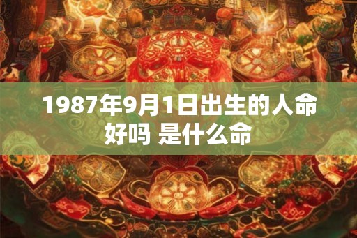 1987年9月1日出生的人命好吗 是什么命
