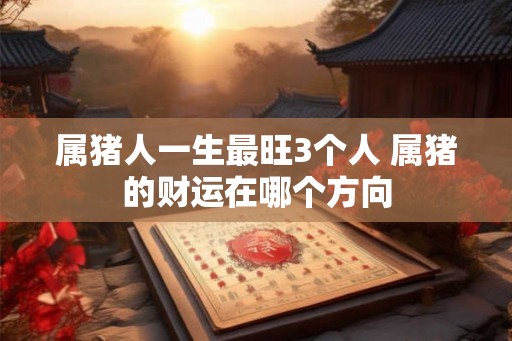 属猪人一生最旺3个人 属猪的财运在哪个方向