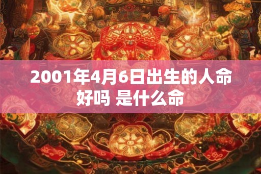 2001年4月6日出生的人命好吗 是什么命