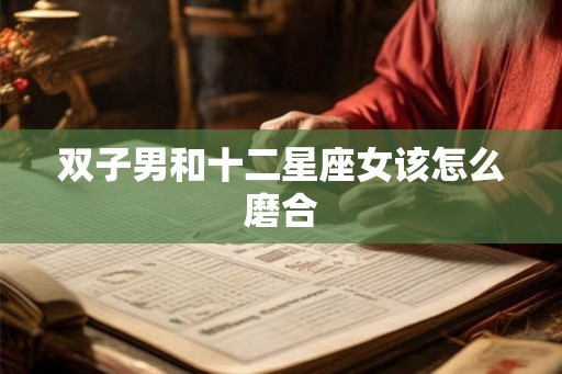 双子男和十二星座女该怎么磨合