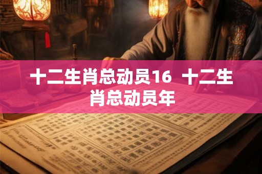 十二生肖总动员16  十二生肖总动员年
