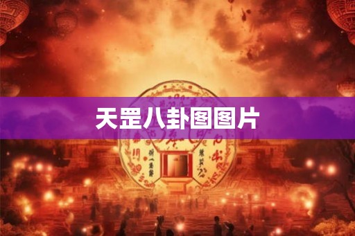 天罡八卦图图片