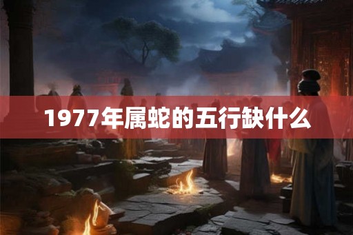 1977年属蛇的五行缺什么