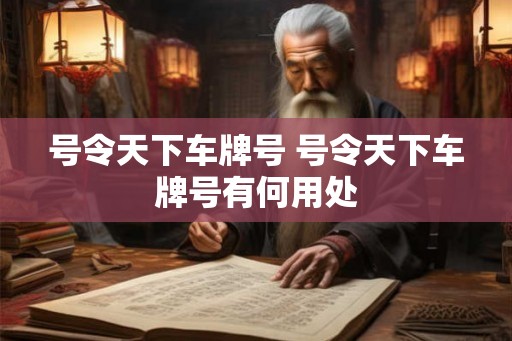 号令天下车牌号 号令天下车牌号有何用处