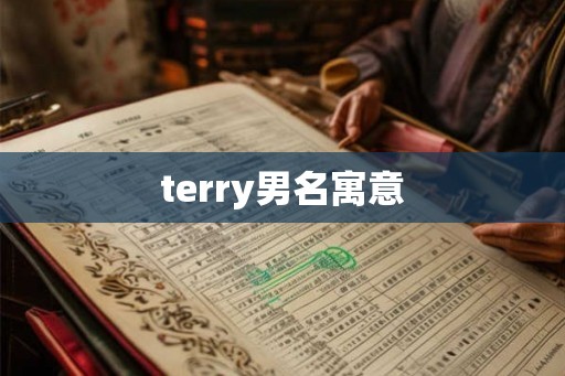 terry男名寓意
