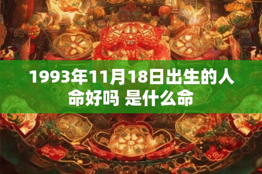 1993年11月18日出生的人命好吗 是什么命