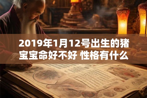 2019年1月12号出生的猪宝宝命好不好 性格有什么特点