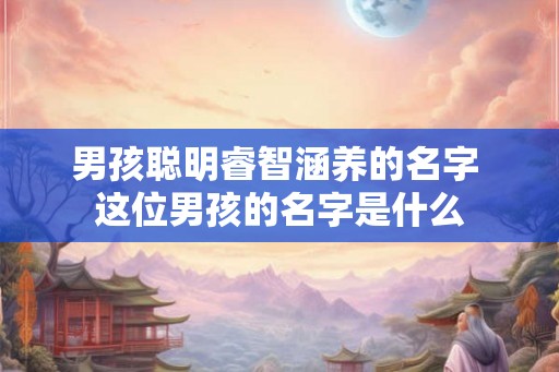 男孩聪明睿智涵养的名字 这位男孩的名字是什么