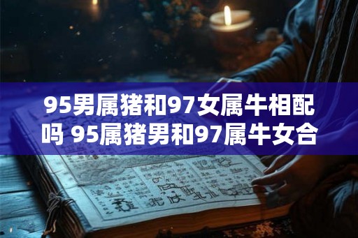 95男属猪和97女属牛相配吗 95属猪男和97属牛女合适吗