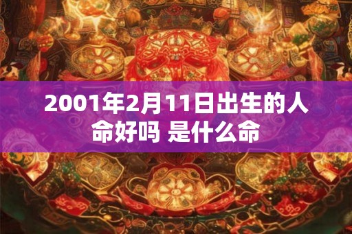 2001年2月11日出生的人命好吗 是什么命