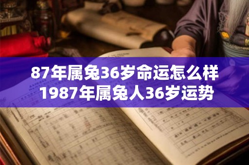 87年属兔36岁命运怎么样 1987年属兔人36岁运势
