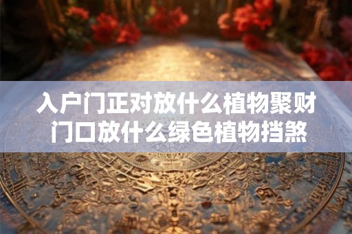 入户门正对放什么植物聚财 门口放什么绿色植物挡煞 入户门正对放什么植物聚财 门口放什么绿色植物挡煞