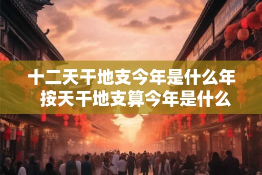 十二天干地支今年是什么年  按天干地支算今年是什么年