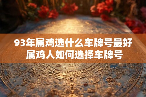 93年属鸡选什么车牌号最好 属鸡人如何选择车牌号