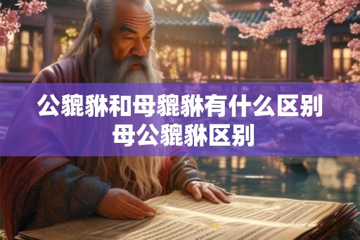 公貔貅和母貔貅有什么区别 母公貔貅区别 公貔貅和母貔貅有什么区别 母公貔貅区别