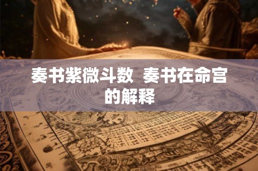 奏书紫微斗数  奏书在命宫的解释
