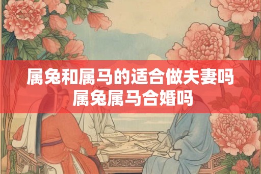 属兔和属马的适合做夫妻吗 属兔属马合婚吗