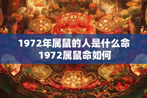 1972年属鼠的人是什么命 1972属鼠命如何