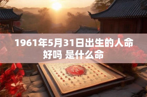 1961年5月31日出生的人命好吗 是什么命